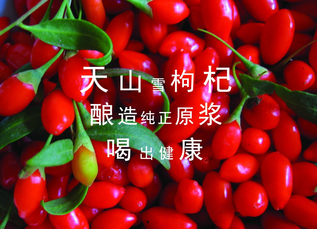 &#20061;&#28216;&#23448;&#26041;&#32593;&#39029;&#29256;&#45;&#20061;&#28216;&#40;&#20013;&#22269;&#41;